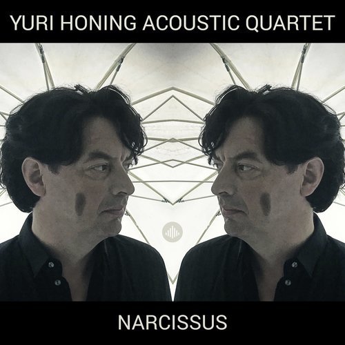 Narcissus