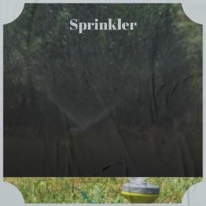 ดาวน์โหลดและฟังเพลง Clubber Passion พร้อมเนื้อเพลงจาก Esen Hich