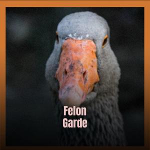 Listen to Felon Garde song with lyrics from Kyoka Pruh