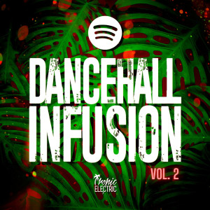 Various Artists的專輯Dancehall Infusion, Vol. 2 (Explicit)
