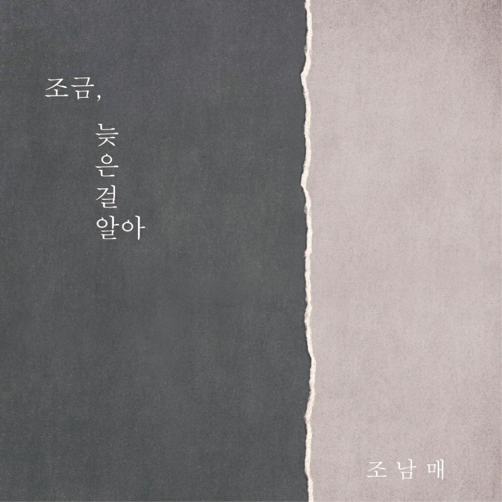 조금 늦은 걸 알아 (feat. 진삼)