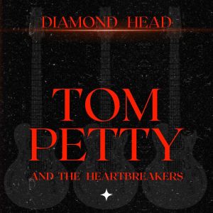 ดาวน์โหลดและฟังเพลง The Damage You've Done (Live) พร้อมเนื้อเพลงจาก Tom Petty & The Heart Breakers