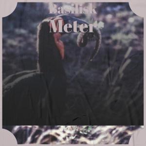 Album Basilisk Meter from 
