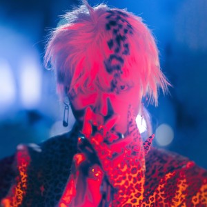 Album Wonderful Disaster 3 from 디보