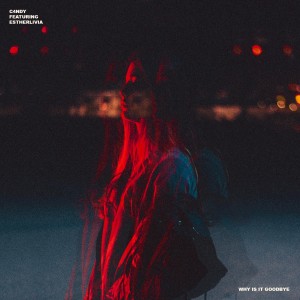 Listen to Why Is It Goodbye song with lyrics from C4NDY