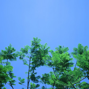 收听Kevin Dickerson的There Are Only Beginnings歌词歌曲