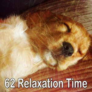 收聽Relaxing Music Therapy的Advancing Rest歌詞歌曲