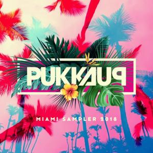 Various的专辑Pukka Up Miami 2018