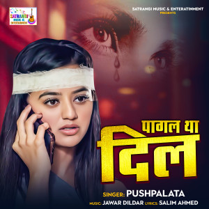 收聽Pushplata的Pagal Tha Dil歌詞歌曲