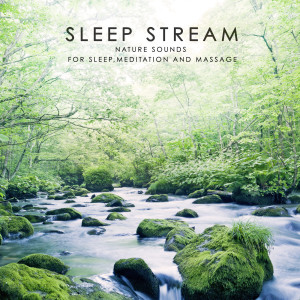 Listen to Acadia Stream - with Crickets song with lyrics from Ocean Sounds