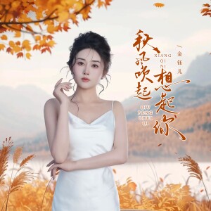 Album 秋风吹起想起你（DJ阿尼版） oleh 金钰儿