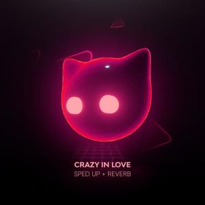 ดาวน์โหลดและฟังเพลง crazy in love - sped up + reverb พร้อมเนื้อเพลงจาก Mr Cat