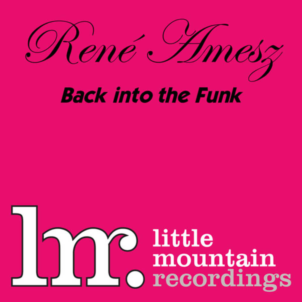 Back Into The Funk (Dub)