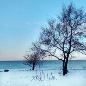 Listen to The Truth song with lyrics from Spa Music Relaxation
