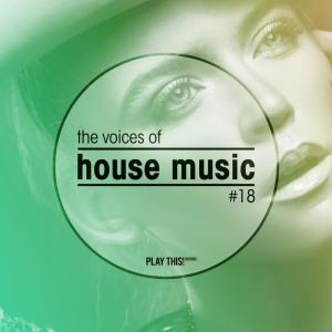 Listen to Change My Mind (Remix) song with lyrics from Muzikfabrik