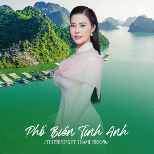 Album Phố Biển Tình Anh from 