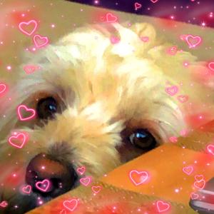 ดาวน์โหลดและฟังเพลง Lost (Explicit) พร้อมเนื้อเพลงจาก Marke