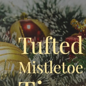 Listen to Blue Christmas Lights song with lyrics from Harve Bishop