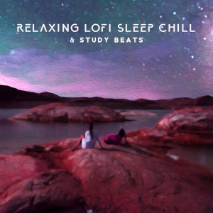 Album Relaxing Lofi Sleep Chill & Study Beats (Lofi Ambient Music) from Lo-fi Chill Zone