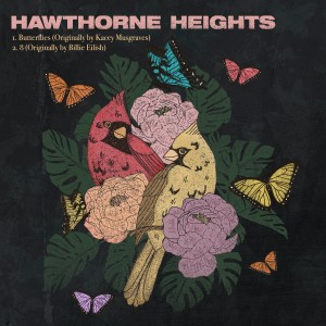 ดาวน์โหลดและฟังเพลง Butterflies พร้อมเนื้อเพลงจาก Hawthorne Heights