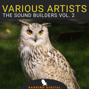 The Sound Builders, Vol. 2 dari Various Artists