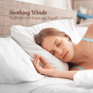 Album Soothing Winds: Sleepscape with Ocean and Seagull's Serenade from Delta Wave Deep Sleep