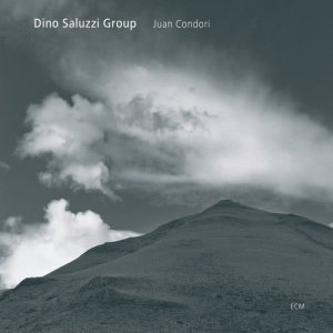 Dino Saluzzi Group的專輯Juan Condori