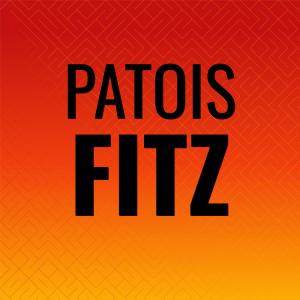 Various Artists的專輯Patois Fitz