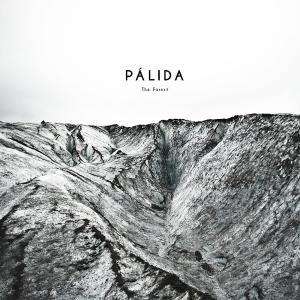 收聽Pálida的Wonders歌詞歌曲