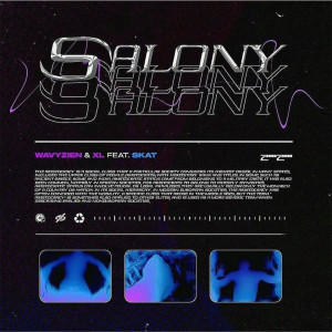 Album Salony (Explicit) oleh Skat