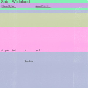 อัลบัม Lift Me Higher (Remotif Remix) ศิลปิน Seb Wildblood