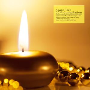 Listen to Enjoy Rest song with lyrics from 프레이어