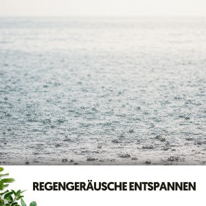 Regengeräusche的專輯Regengeräusche entspannen: Melodien vom Himmel