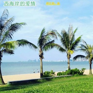 Listen to 西海岸的爱情（纯音乐） (完整版) song with lyrics from 符之波