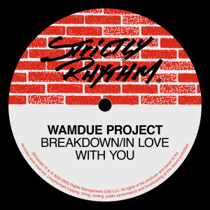 Album Breakdown / In Love With You (Remixes) from Wamdue Project