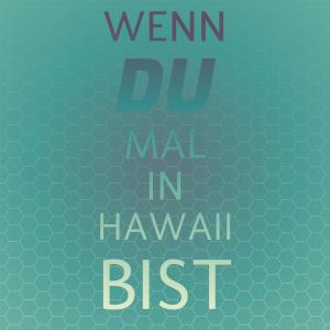 อัลบัม Wenn Du Mal In Hawaii Bist ศิลปิน Silvia Natiello-Spiller