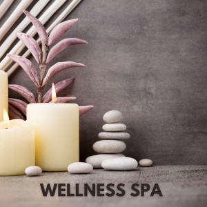 Classical Music For Relaxation的專輯Wellness Spa