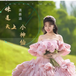 潇慕涵的专辑妹是天上小神仙
