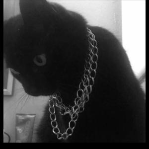 ดาวน์โหลดและฟังเพลง War (feat. Mdott3x) (Explicit) พร้อมเนื้อเพลงจาก rawfendii