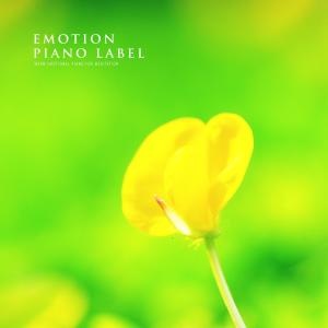 Album Warm Emotional Piano For Meditation from Korea Various Artists