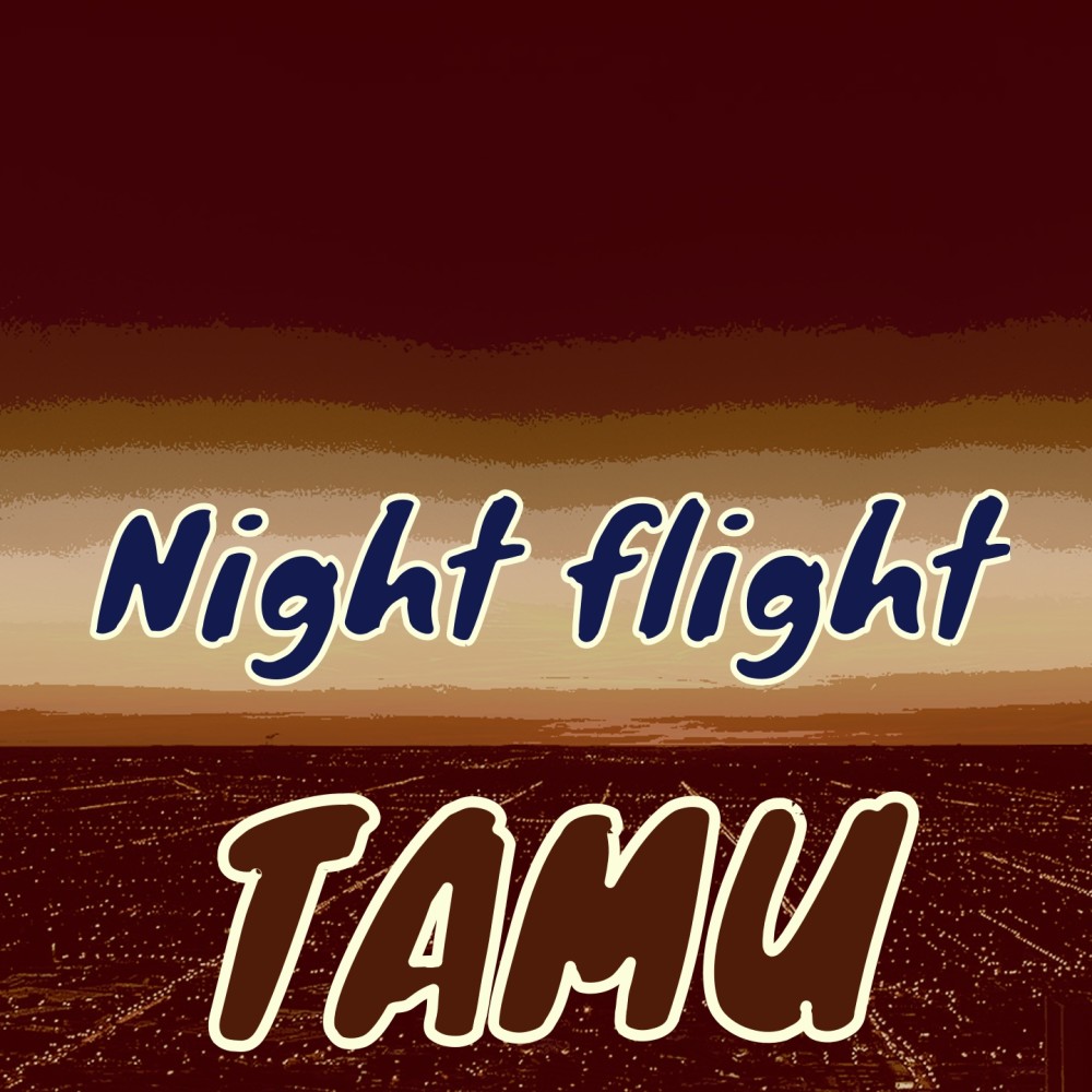 Night Flight