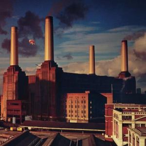 อัลบัม Animals ศิลปิน Pink Floyd