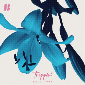 ดาวน์โหลดและฟังเพลง Trippin' (feat. SWRY) พร้อมเนื้อเพลงจาก Ellui