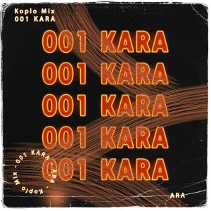 Album 001 Kara oleh Ara