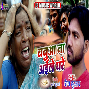 Album Babua Na Aile Ghare from Shesh Kumar