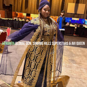 Listen to Senorita song with lyrics from Global Don
