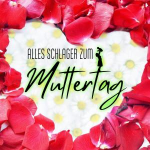 Various Artists的专辑Alles Schlager zum Muttertag