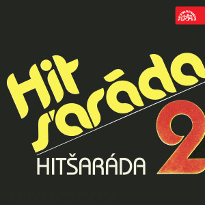 Listen to Boty z kůže toulavejch psů song with lyrics from Michal Tučný