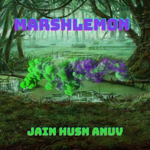 Marshlemon的专辑Jain Husn Anuv
