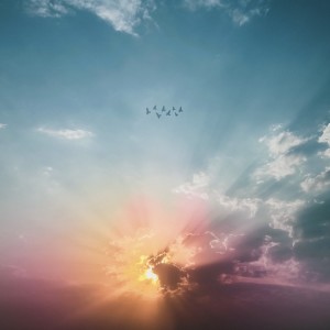 Album Soaking Worship from Fran David